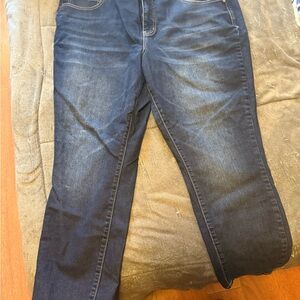 Maurices Dark Blue Skinny Jeans